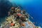 Underwater Tropical Corals Reef with colorful sea fish