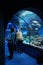 underwater tunnel with aquariums in the aquarium for visitors with sea fish
