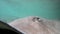 Underwater video of Stingray animals and wildlife in nature in French Polynesia, Bora, Bora, Tahiti. Stringrays on