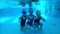 Underwater video of young friends in swimming pool