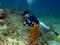 Underwater Vidiographer shooting a Tube Sponge