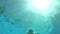 Underwater View Of Boy Swimming Towards Camera