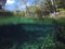 Underwater view of Cenotes Turtle House Tulum in Yucatan, Mexico