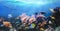 Underwater view of the coral reef.