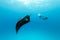 Underwater view of hovering Giant oceanic manta ray, Manta Birostris , and man free diving in blue ocean. Watching