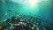 Underwater view of a large amount of trash in the ocean, Underwater view of a pile of garbage in the ocean. 3d rendering, AI