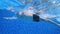 Underwater view of a male swimmer swimming in the swimming pool at daytime.