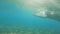 Underwater view of man swimming in the ocean clean water, slow motion