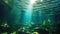 Underwater View of Rocks and Plants in a Natural Water Environment, Underwater sunlight through the water surface seen from a