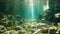 Underwater View of Rocks and Water, A Natural Beauty Revealed, Underwater sunlight through the water surface seen from a rocky