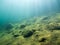 Underwater view of sloping lake bottom with sunrays