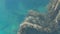 Underwater view of a sunken ship covered with seaweed corals and mussels. Small fish swim around the sunken ship