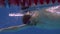 Underwater view to the beautiful professional swimmer swiming crawl stroke in the pool