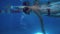 Underwater view to the beautiful professional swimmer swiming crawl stroke in the pool