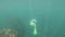 Underwater view of a young Caucasian man in a mask with fins and with a snorkel swims in transparent sea water at a