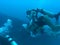 Underwater wedding video caribbean sea