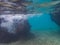 Underwater at Westpunt Curacao Views