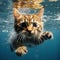 Underwater whiskers Playful cat showcases cuteness in a watery world