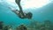 Underwater woman snorkeling and swimming near the corals in the blue ocean.