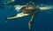 UNDERWATER: Young woman sits on her surfboard and waits for big ocean waves.