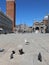 Undisturbed pigeons and a seagull in the Island of Venice in Ita