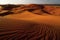 Undulating sand dunes in sahara desert