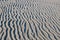 Undulating surface of gray sand with fluted wavy zigzags of low mounds with pebbles with paths of bird tracks.