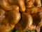 Uneatable brown mushrooms in the natural environment. Fall time. Selective focus