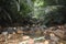 Unedited image of water stream flowing in rocky area