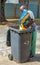 Unemployed black man digging in refuse bin