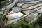 UNESCO Rice Terraces in Bangaan, Philippines