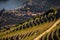UNESCO World Heritage, the beautiful endless lines of Douro Valley Vineyards.