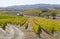 UNESCO World Heritage, the beautiful endless lines of Douro Valley Vineyards, in Vila Nova de Foz Coa.