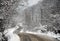 Uneven curved road through snowy forest