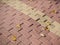 Uneven paving stones bricks floor around pine tree damaged by growth and careless