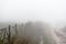 Uneven road, hedge, fog in the Armenian village closeup