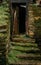 Uneven stone stairs in an old house with grass and moss and wooden door frame