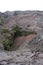 The uneven terrain of the Kilauea Iki Crater with Ohi`a plants growing through the volcanic rock in Hawaii