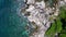 Unexplored beach palm trees smooth rocks. Amazing aerial top view flight drone