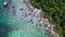 Unexplored beach palm trees smooth rocks. Lovely aerial top view flight drone