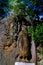 The unfinished Buddha image at Dhowa Raja Maha Vihara rock temple, Bandarawela, Sri Lanka