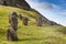 Unfinished Moai statues in a quarry