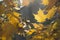 Unfocuse yellow leaves of maple with sunlights. Soft focuse moody autumn image