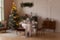 Unfocused classic christmas interior with new year tree decorated