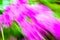 Unfocused image with movement of intense colored flowers for feeling dizzy