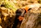 Unfocused of a mud race runners passing under a barbed wire obstacles during extreme obstacle race