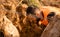 Unfocused of a mud race runners passing under a barbed wire obstacles during extreme obstacle race.