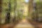 Unfocused nature