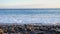 Unfocused pebble beach foreground and waves on background