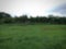 an unfocused view of a vast meadow with greenery